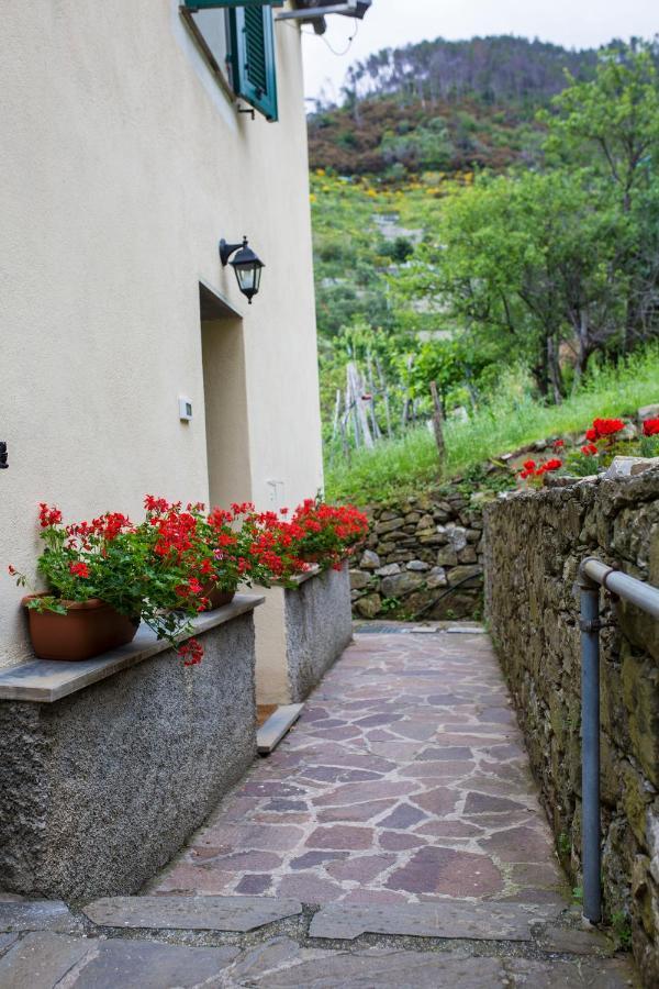 Tra Le Mura * Levanto