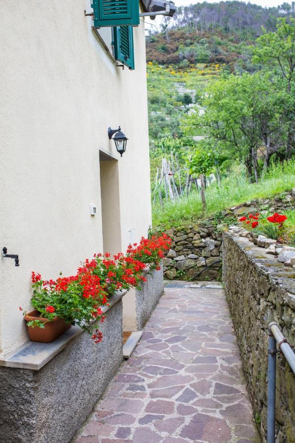 Tra Le Mura Holiday home *