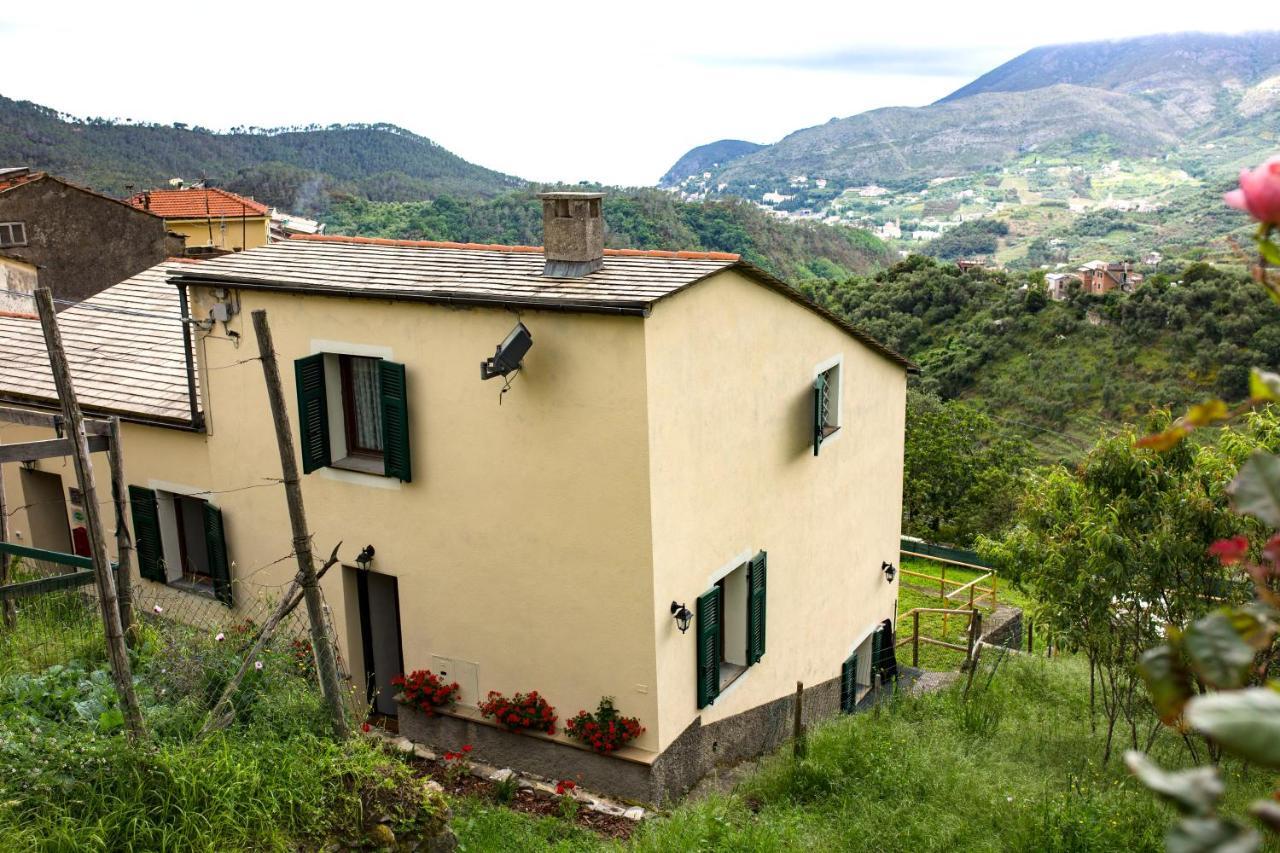 Vakantiehuis Tra Le Mura *