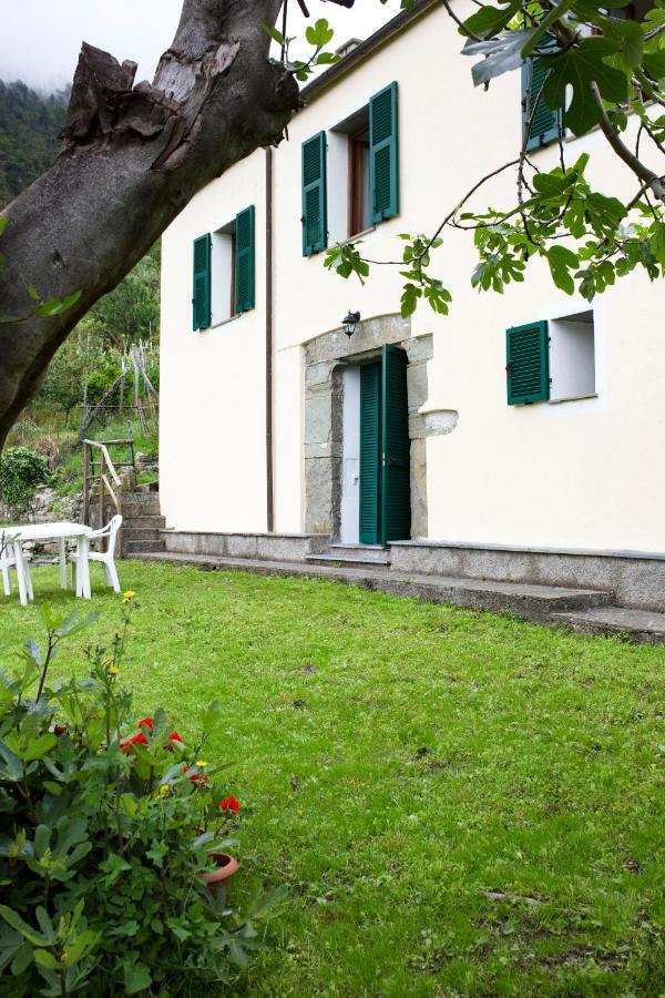 Tra Le Mura