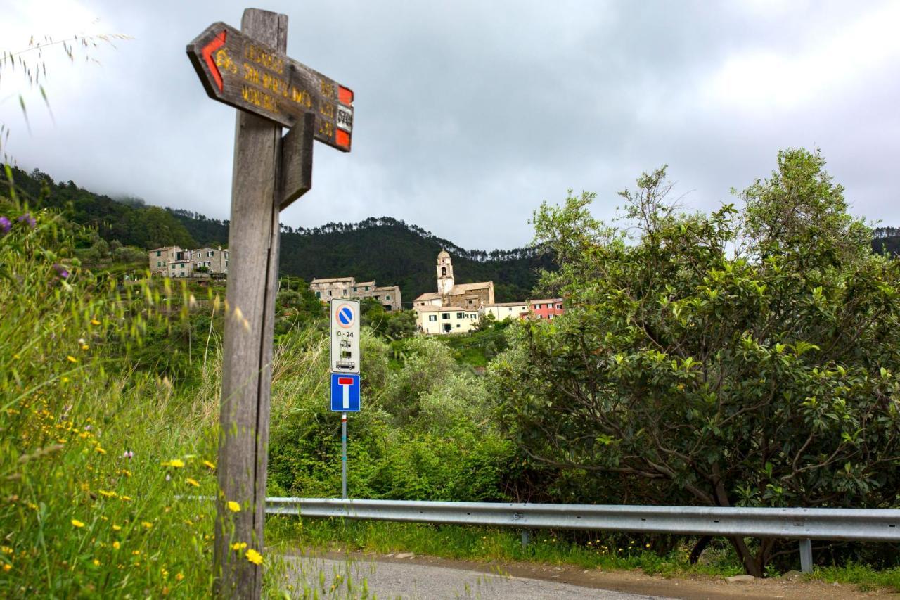 Tra Le Mura