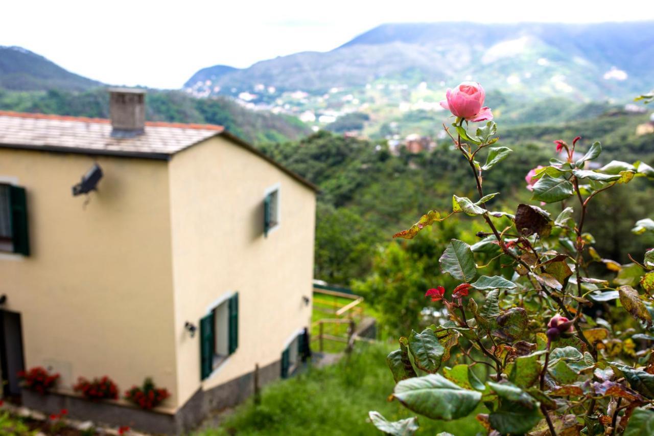 Tra Le Mura Levanto