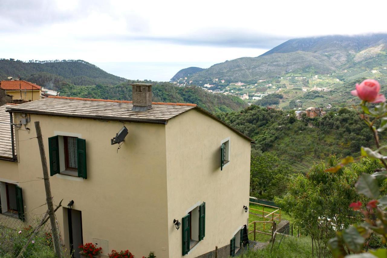 Tra Le Mura